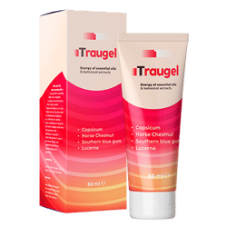 Traugel